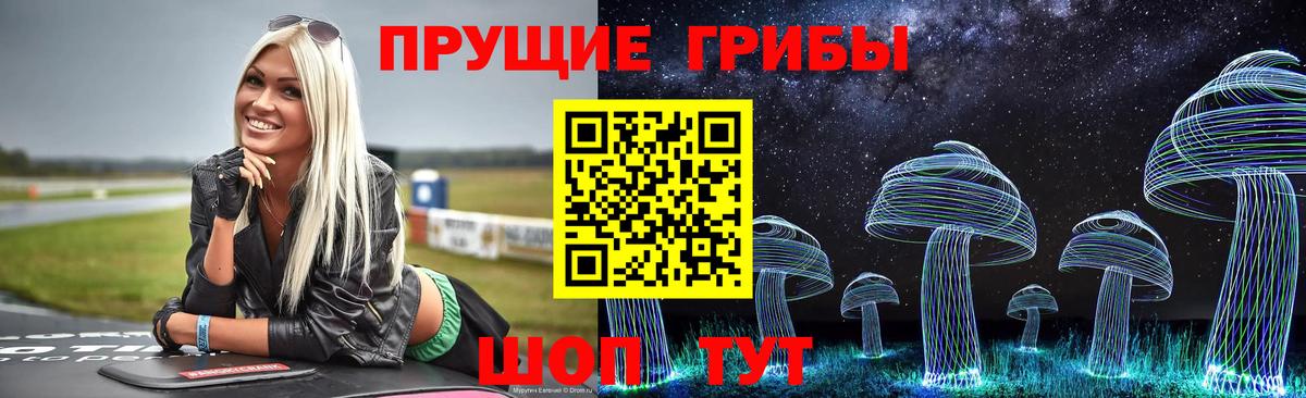 Гусь-Хрустальный  Псилоцибиновые грибы MAGIC MUSHROOMS  Вход с VPN  Псилоцибиновые грибы мухоморы 